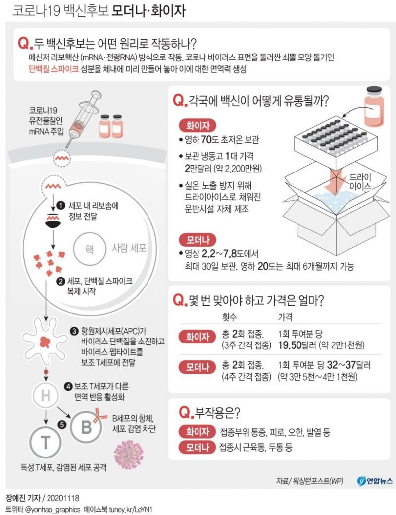 >>150 에 이어 저 지원금을 안 줬다면 백신을 얼마나 살 수 있었을까? 단순 계산으로 74만8천 회.