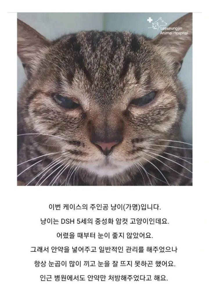 ๊ณ ์์ด ์์ ํ๊ธฐ๋ใ
ใ
ใ
ใ
ใ
ใ
ใ
ใ
์กธ๊ทใ
ใ