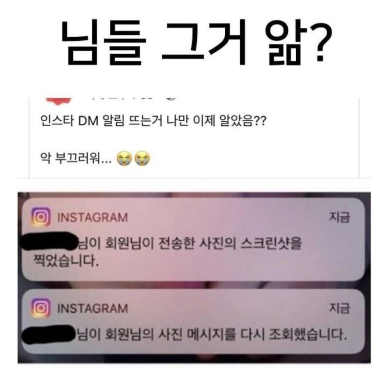 인스타는 의외로 다양한 알림이 있다