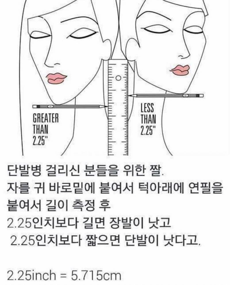 >>19 넹 복채도 윗분처럼 꿀팁짤로 미리 낼게욤