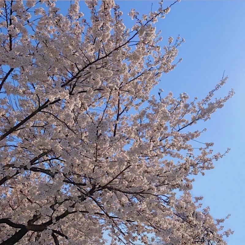 >>66 내가 젤 좋아하는 사진은 이거야!