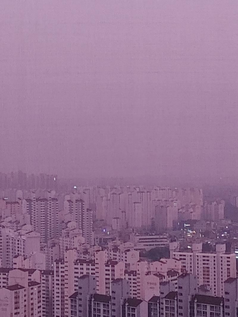 여기 사진