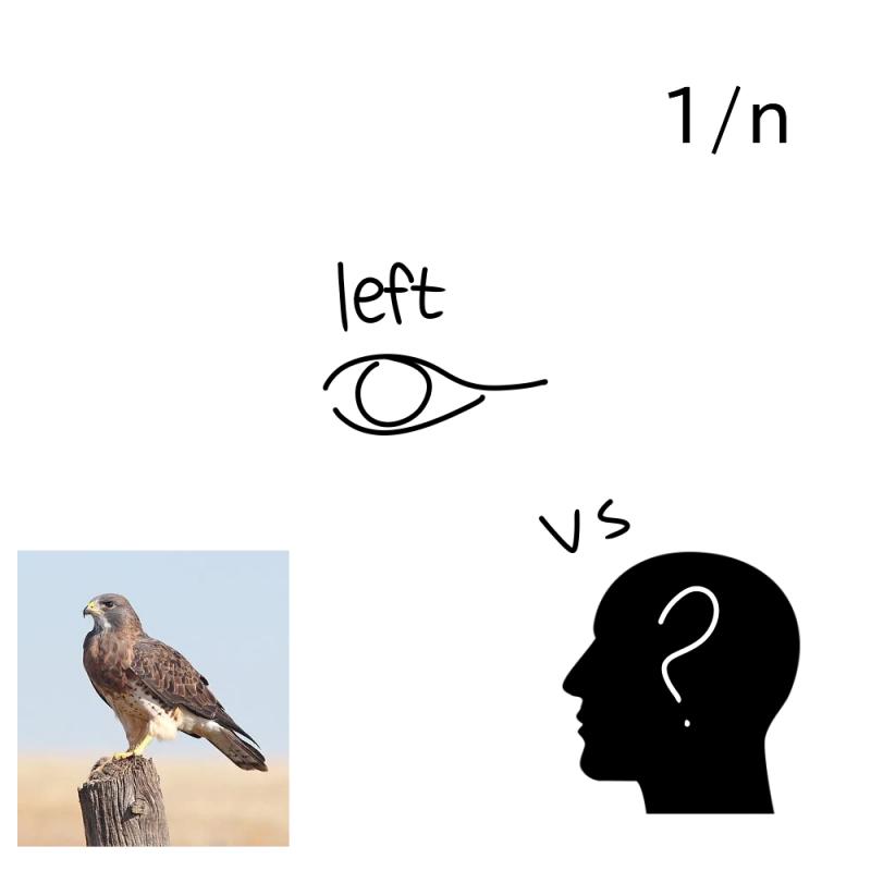 지금 해가 졌나... 우상단 1/n >1/2, 1/4, 1/8, 1/16, 1/32, 1/64. 그리고 채워지지 않은 1/64 조각. 달의 신이