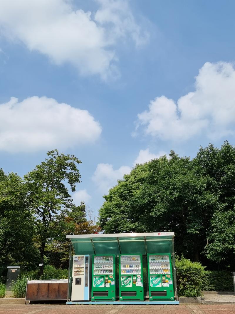 다른 각도 ( 정면 ver.)