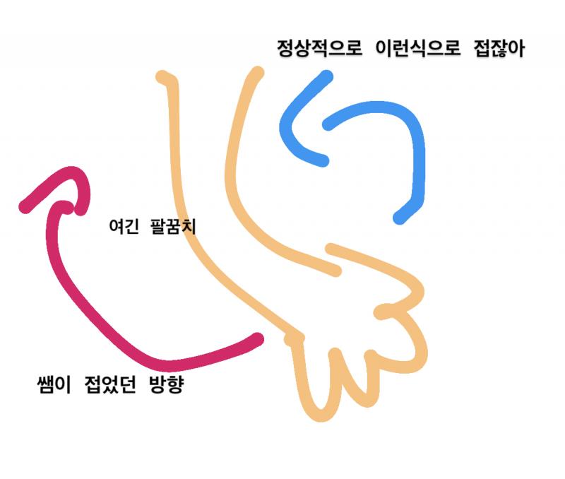 미안 내가 그림을 좀 많이 못 그려 글로 설명하자면 팔이 접힐때 팔꿈치가 바깥으로 가게 접어야 되는데 쌤은 팔꿈치가 안으로 가게 접었어