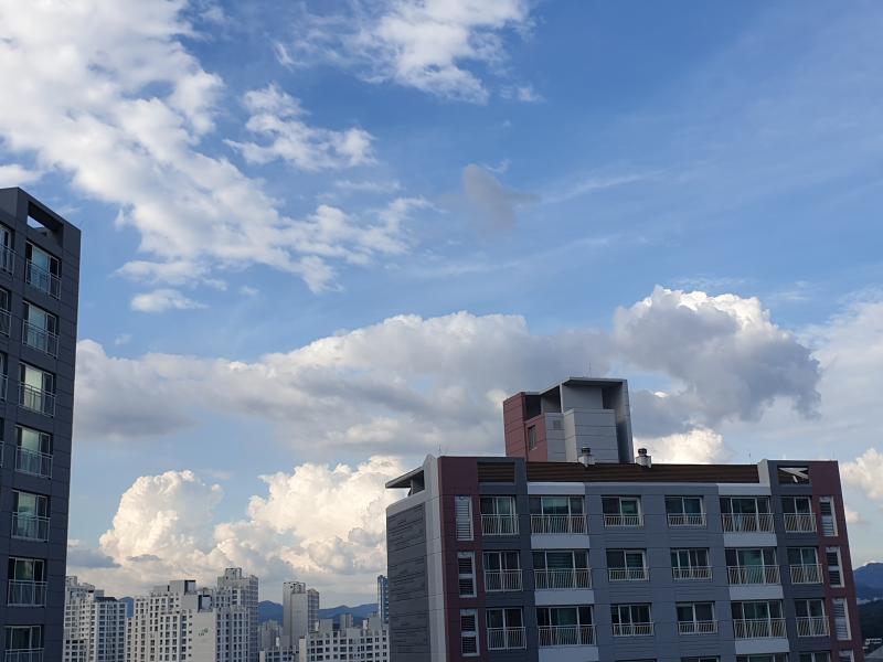 진짜 구름 대박... 솜사탕 같아...