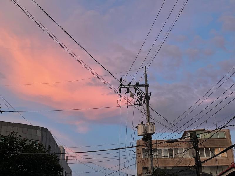 아까 사진 찍은거! 분홍분홍한게 진짜 이쁘지 않아? 이거 필터낀거 아니고 그냥 일반카메라인데도 이쁘더라구ㅠㅠ
