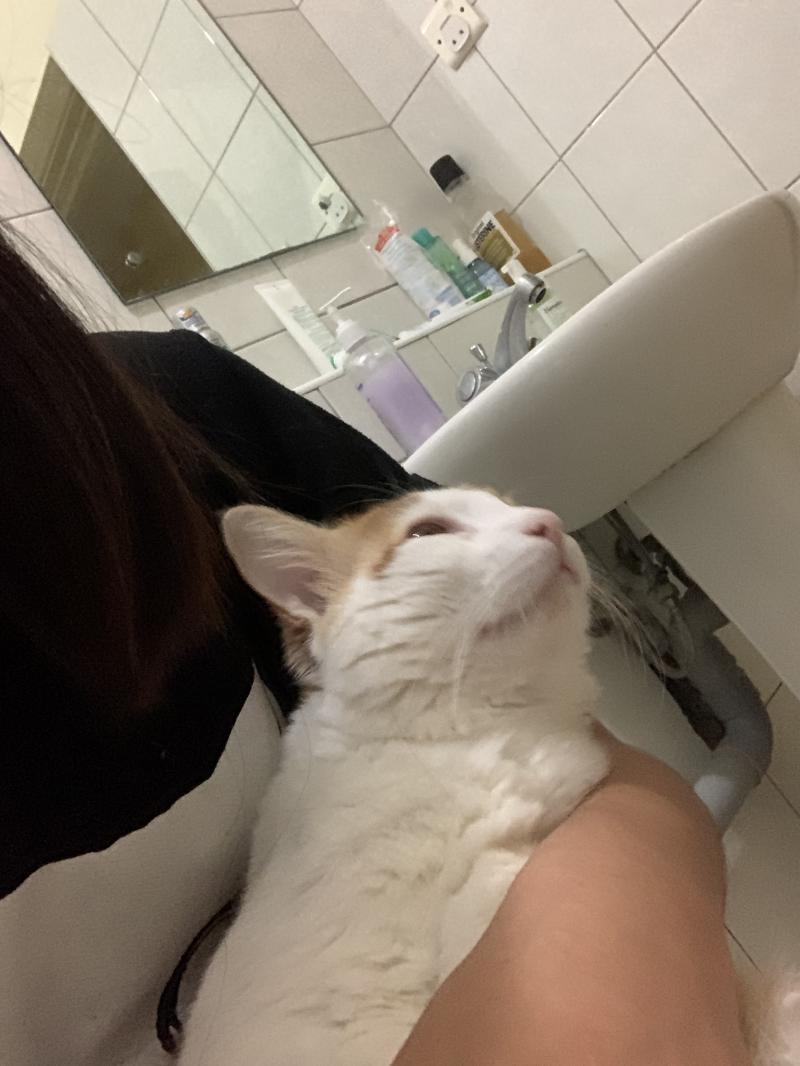 오늘오랜만에 변비탈출!