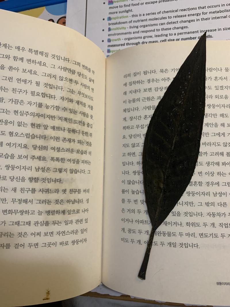 일단 사진부터 올릴께