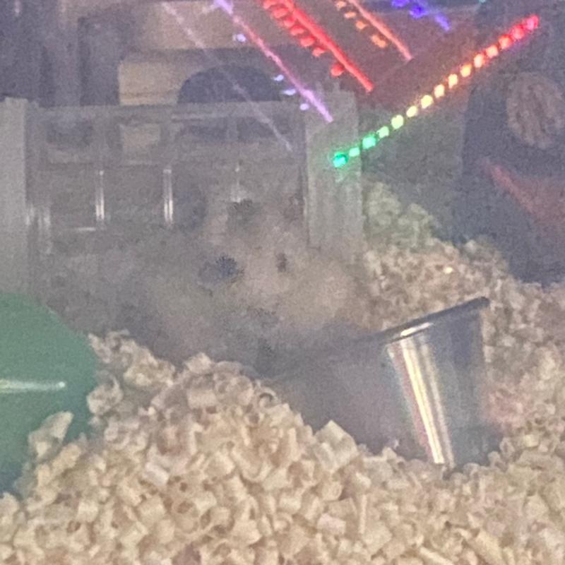 오늘 온 광식이..!!