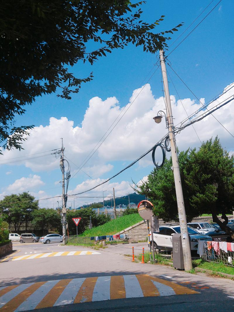 내가 이성한테 인기있는지 모르겠어 남사친도 없고 아는 남자도 없고(여중이라서) 그래서.. 걍 궁금해 복채는 시장갈때 내가 찍은 사진!