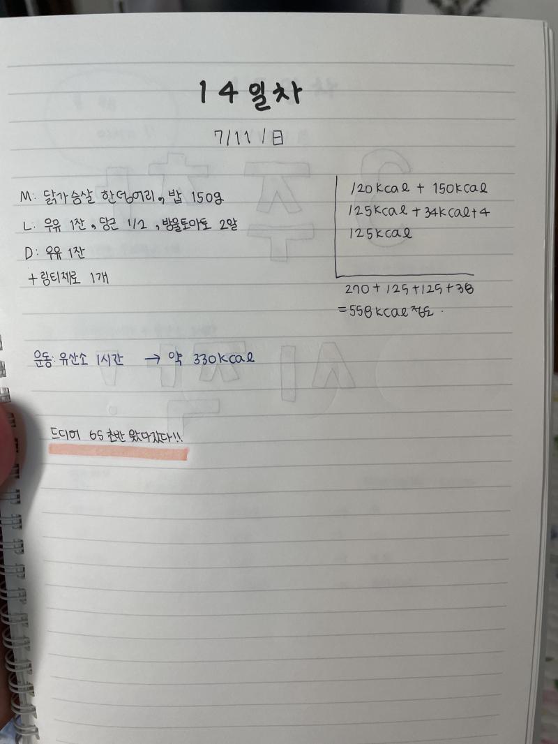 스레딕은 못들어왓지만 다이어트 일지 열시미 써갓당