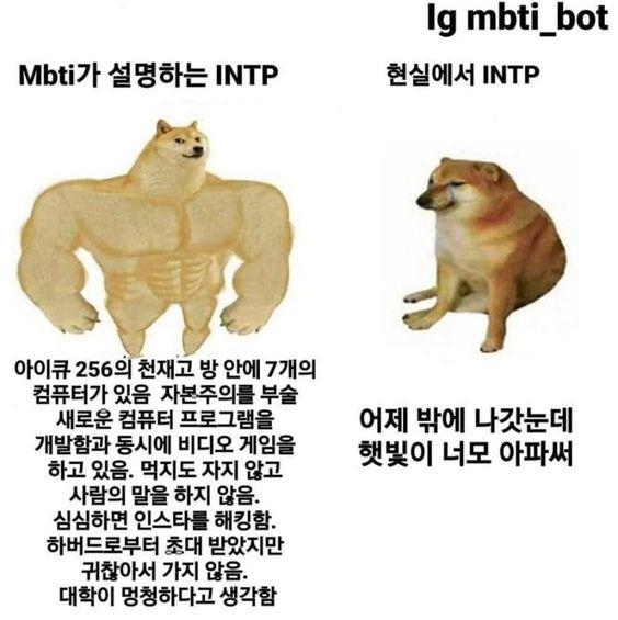 MBTI 밈 보면 다들 이런 거라 오글거림 그리고 그 유형에 맞는 사람이 되려고 자길 끼워맞추고 과장된 연기를 하는 것 같아서 과몰입러 보면 어