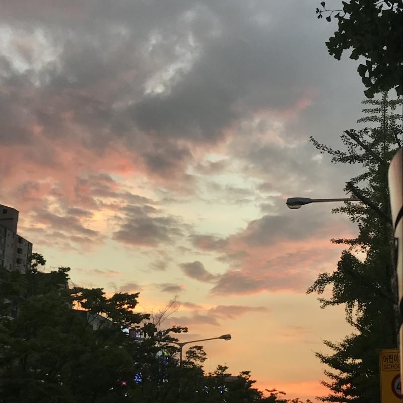 레주 안녕 ! 나는 최근에 서로 썸을 넘어서 주변에서도 사귄다고 생각할 정도로 가깝고 애틋했던 남사친이 있었어. 근데 걔가 일주일 정도 전부터
