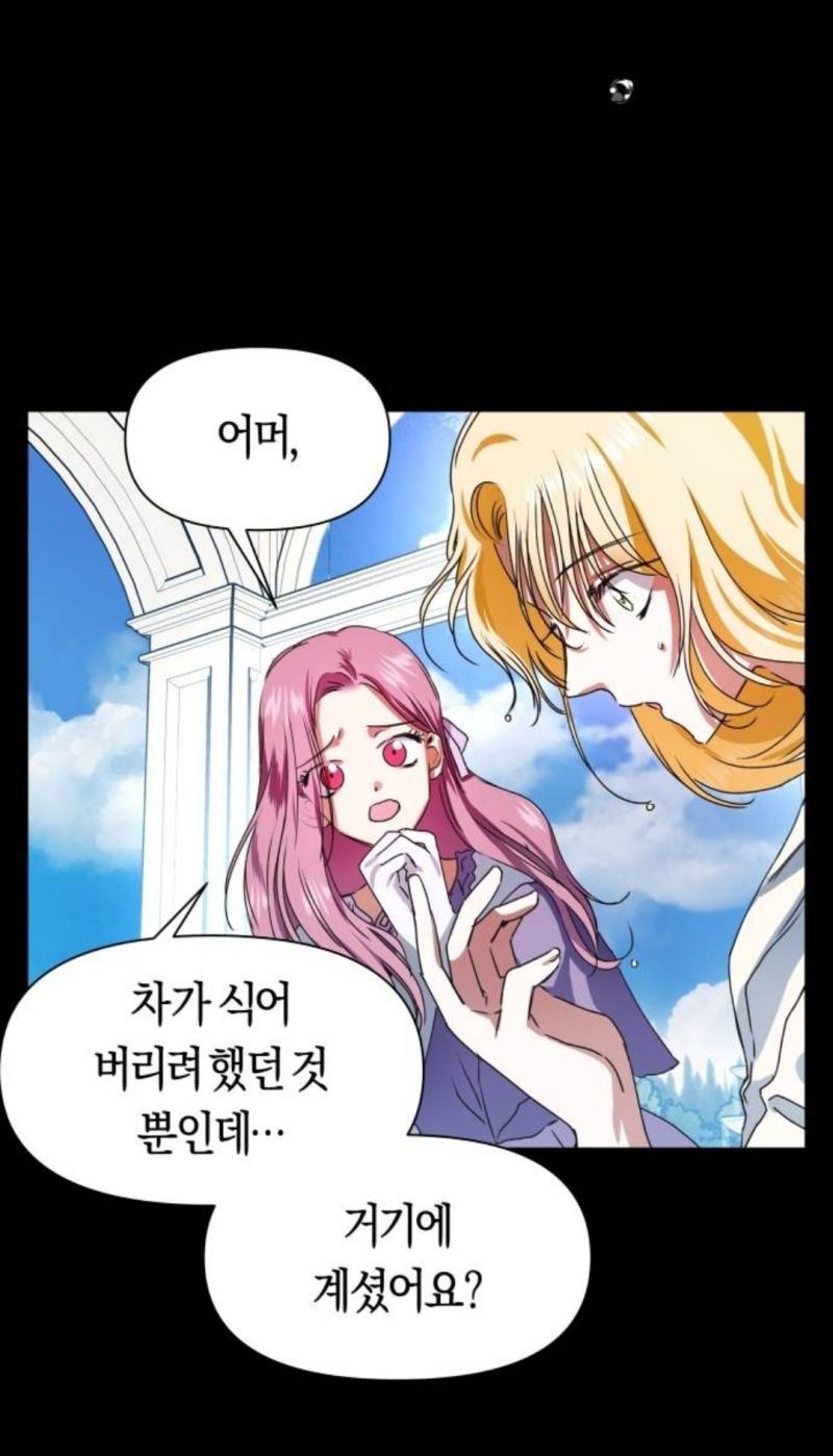 그리고 초반 전개도 좀... 저때 프시케 나름 예비 황태자비 후보 아니었나? 그런데 왜 프시케한테 물을 뿌리면서 일개 하인만도 못한 취급을 하지