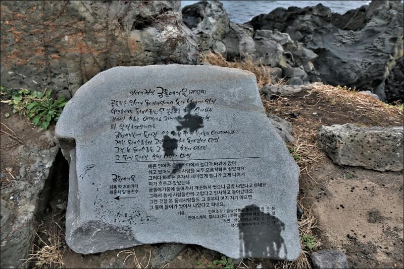 여기는 제주도 귀덕리에 있는 금둘애기물 (용천수) 라는 곳인데 인어 전설이 내려오는 그런 곳이야 인어들이 다친 상처를 금둘애기물이라는 용천수에서
