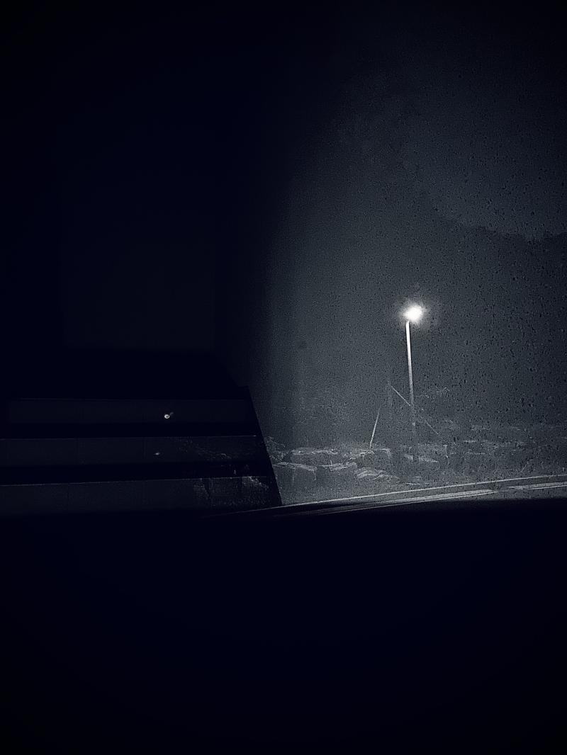 다 내가 찍음 ㅎㅎ