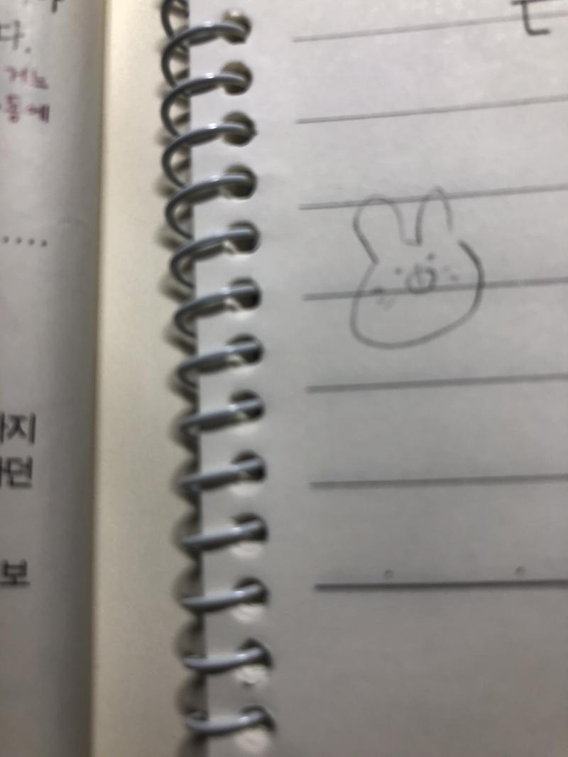 심심해서 방금 그린 옹아리 토끼