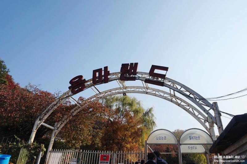 나는 먼저 코로나 잠잠해지면 꼭 가보고 싶은 용마랜드! 폐놀이공원으로 유명해서 다들 알고 있을 수도 있지만 여기는 연예인들이 촬영하러 오거나 사