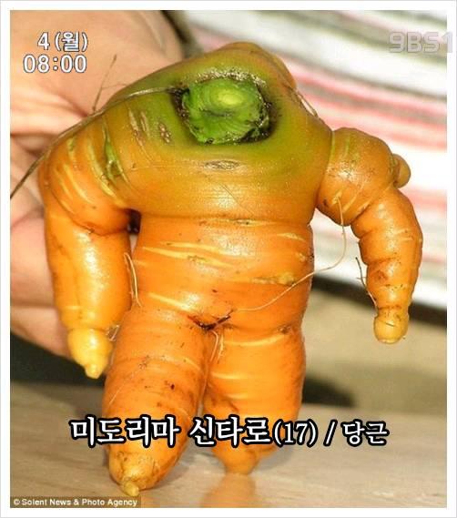 나노다요