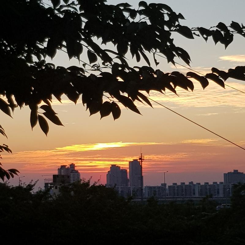 책 읽기도 싫고 공부하기도 싫어서 운동 나왔어