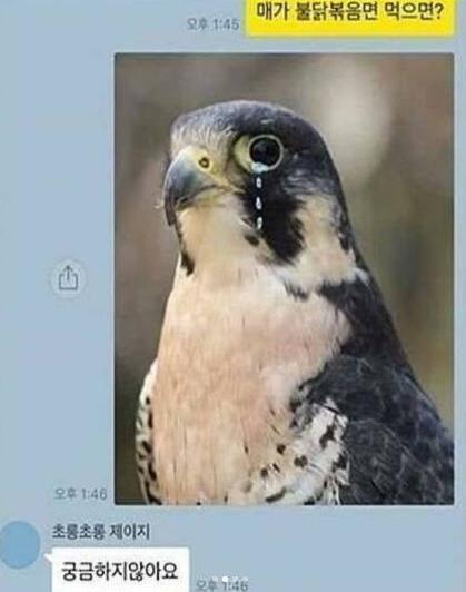 해헤헤