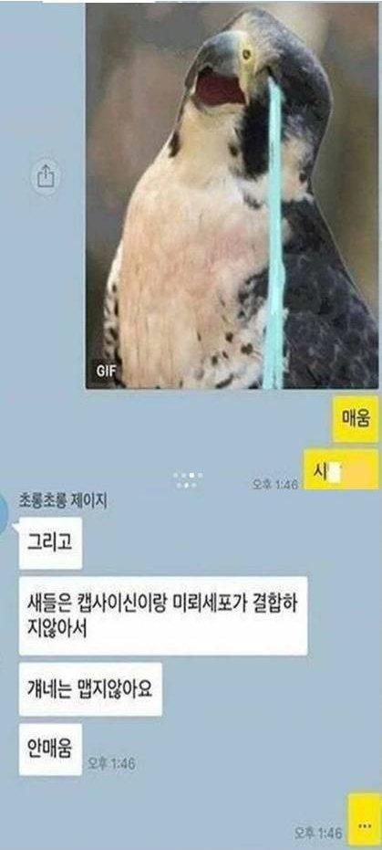 해헤헤