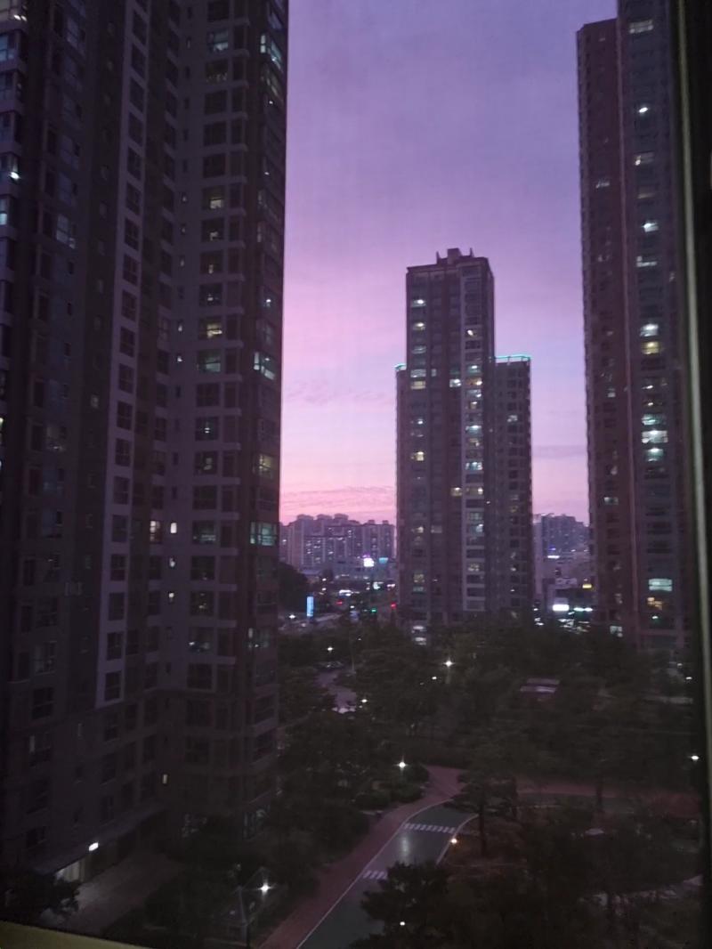 이거는 어제 저녁인데 하나는 개샛키 산책 시키면서 찍은 거고, 하나는 집들어와서 찍었는데 진짜 넘 이뻐ㅠ 아 참고로 사진 다 일카야!