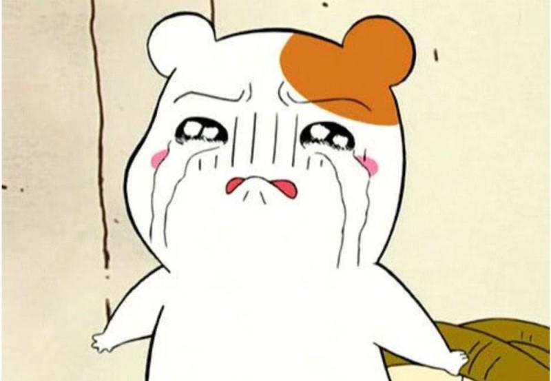 아 뭔가 자연에서 나는 그런 나무냄새?? 약초냄새 같이 은은하게 나는 향수나 칙칙이 없을까ㅠ 정로환 냄새 너무 좋은데 너무 아팠어서 엄두가 안난