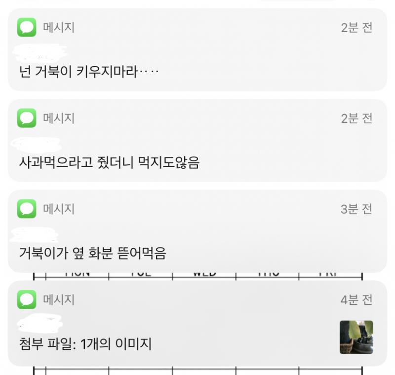 먼저 연락왂어!!!!!!!!!!!!! 심지어 그냥 소소한 자기 일상 얘기!!!!!!!!!!!!!!!!!!!!! 나 보자마자 제자리에서 펄쩍 뛰고