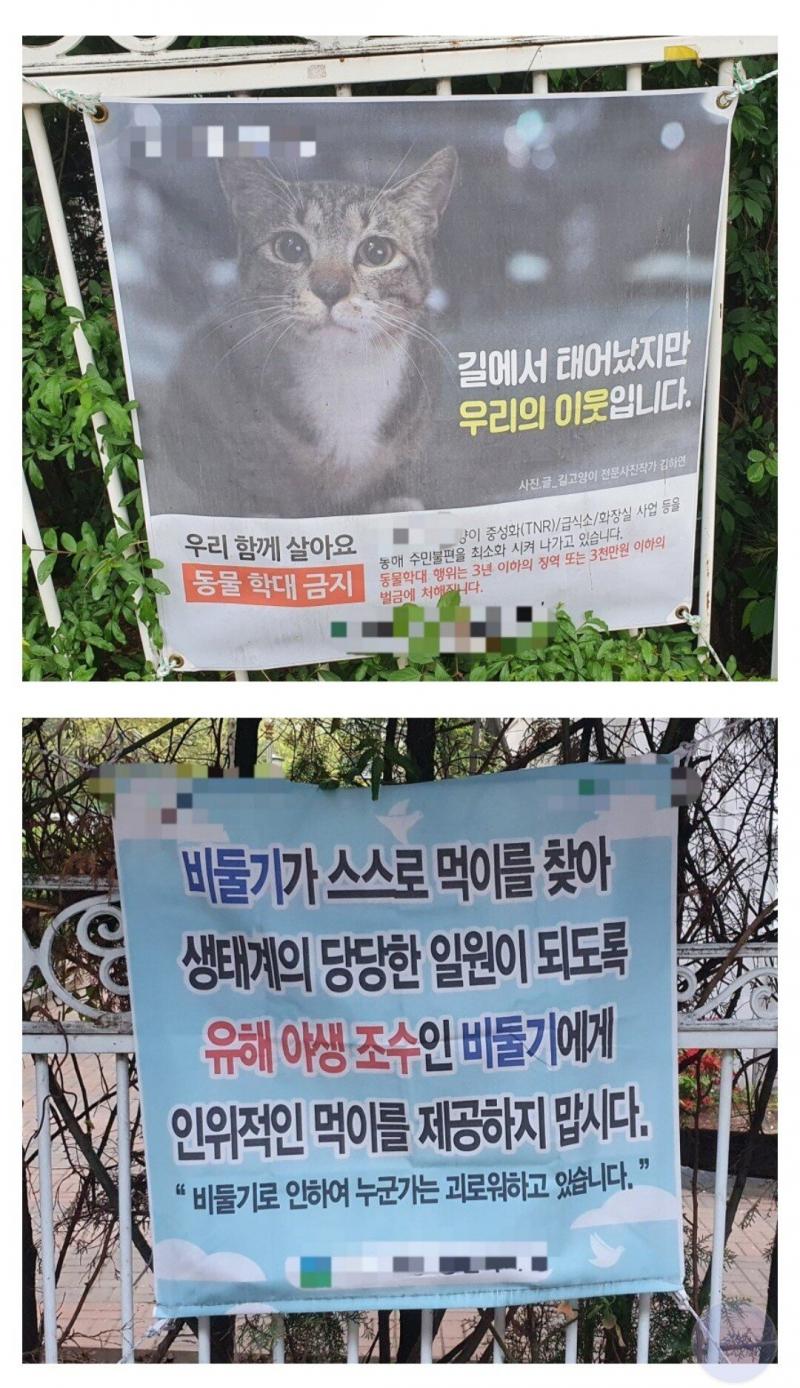 싱글벙글 내로남불