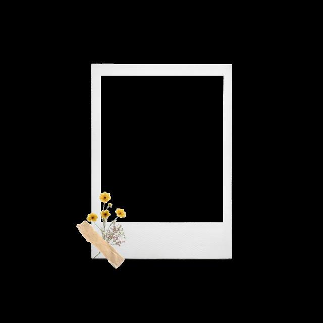 참고로 png야