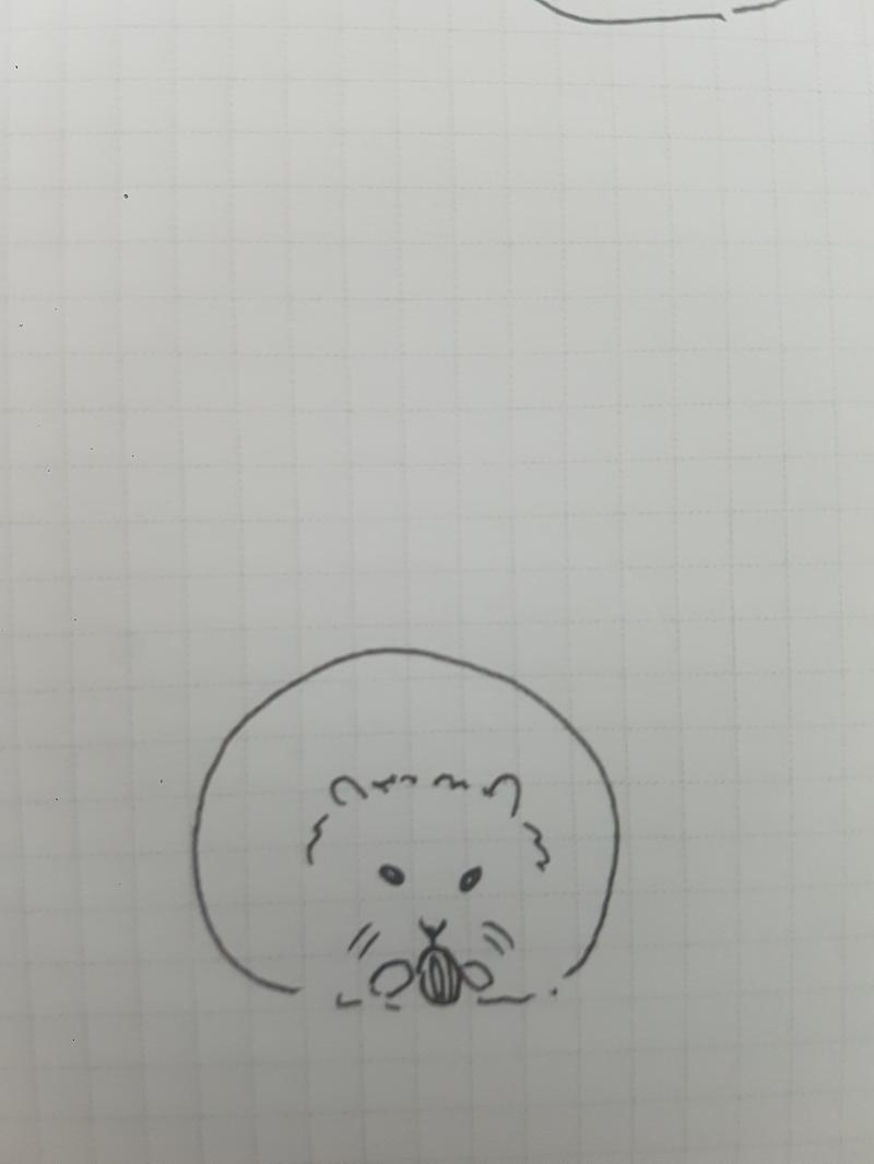 >>5 이 친군.. 내가 그릴 수 있는 최선의 햄스터였어..... 이 친구 진짜 그리기 어렵구나ㅠㅠㅠㅠ