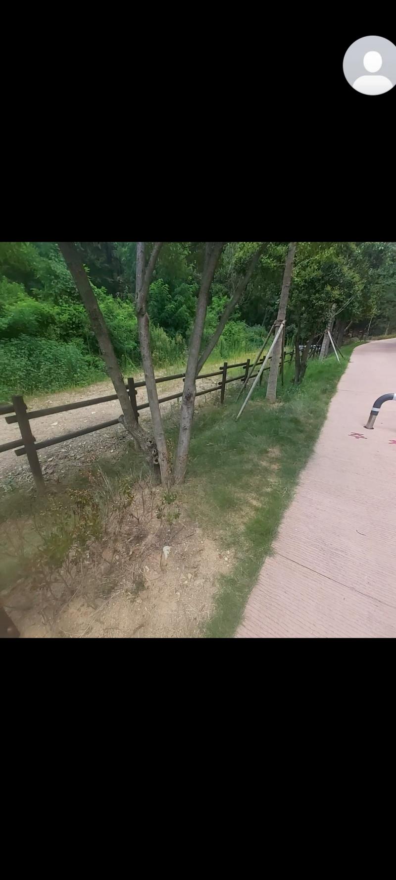 이건 찍었던 영상 스샷한거!
