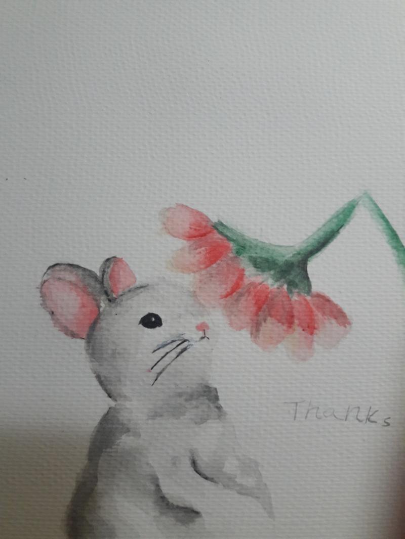 토끼..!