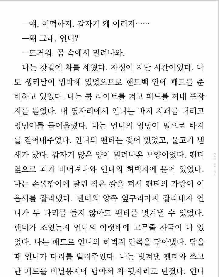 이라는 글인데 개끔찍함 작가가 월경을 한 번도 겪어 보지 않고 월경을 다룬 글을 써서 이따구가 됐음 누가 월경하는데 뜨거워... 몸 속에서 밀려
