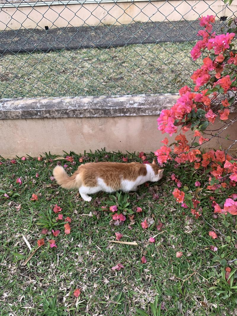 좋니..