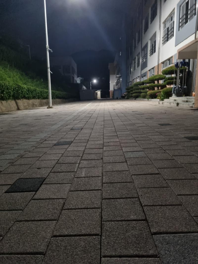 학교 뒤편으로 도망침