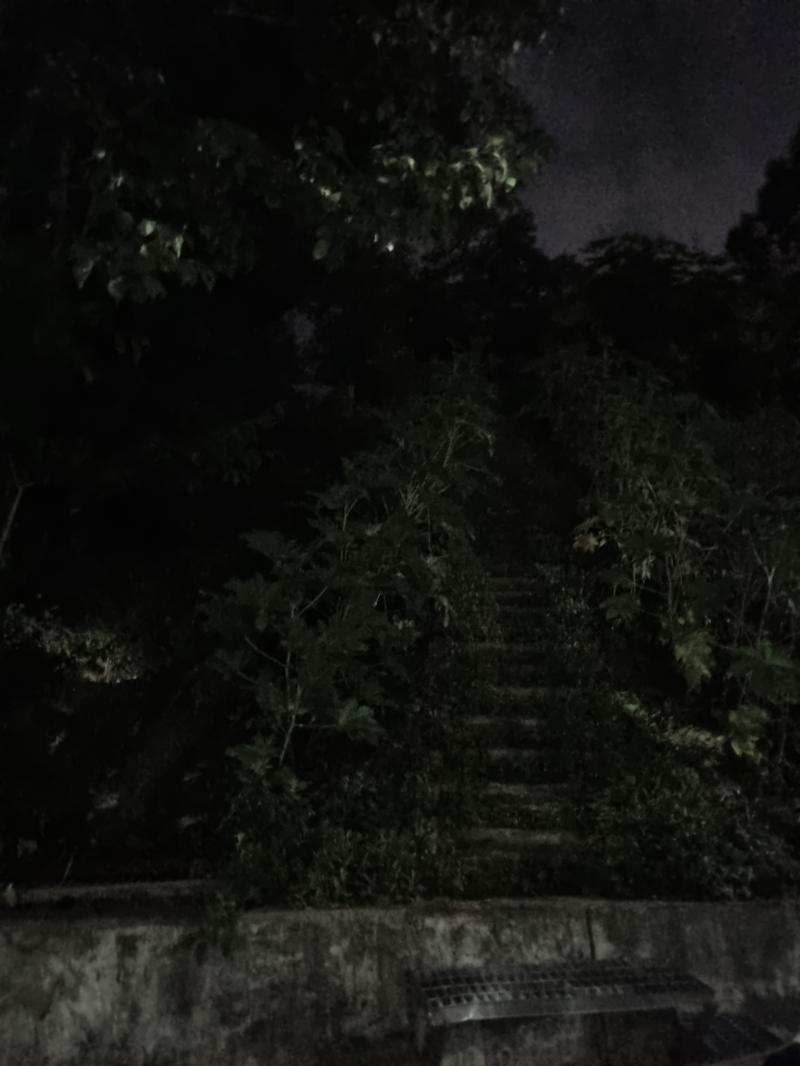 보여? 올라가는 입구다 올라가진 않을거임