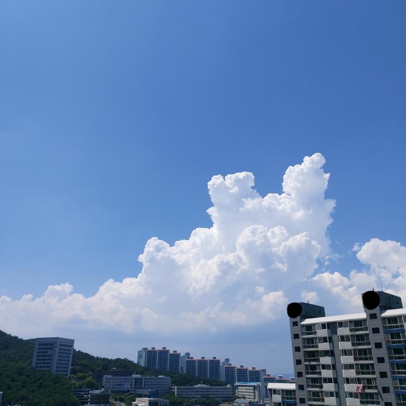 나름 잘 나왔다고 생각함