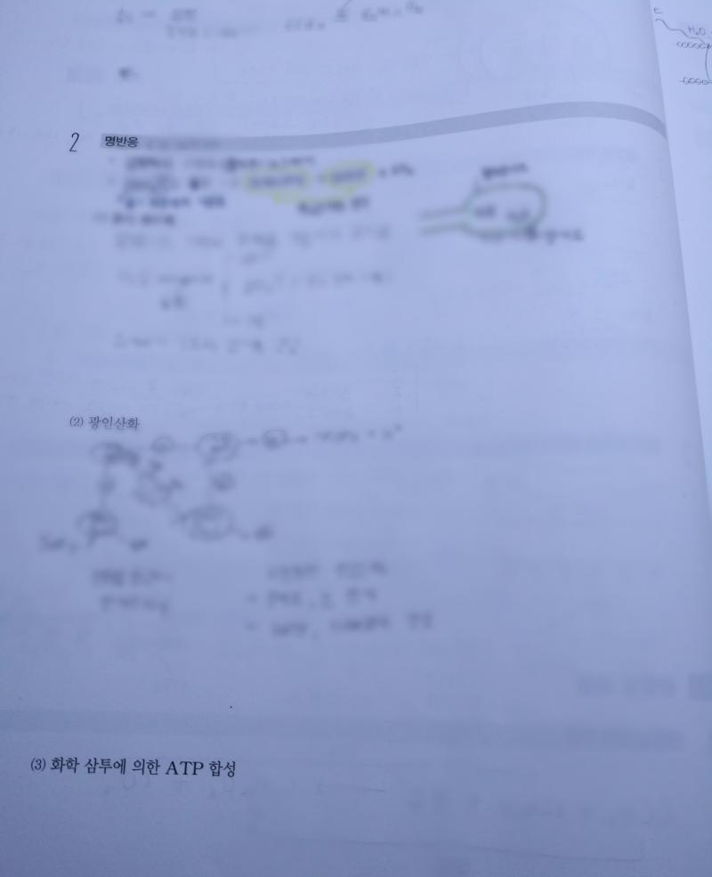 생명이랑 영단어 공부하고 왔다! 1:06 pm 영어 공부하러 간다~