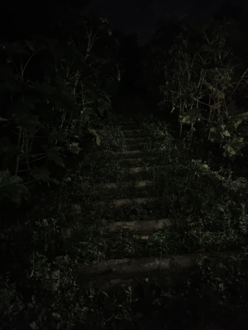 자자 도착했구요 분위기 지리네