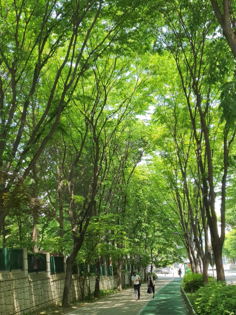 >>30 미술을 하진 않는데 예체능 쪽 정말 하고 싶어...어릴때부터 집안 사정을 알고 강제로 꿈을 접긴 했지만..ㅠ엄청 노력해야 하는구나ㅋㅋ힘