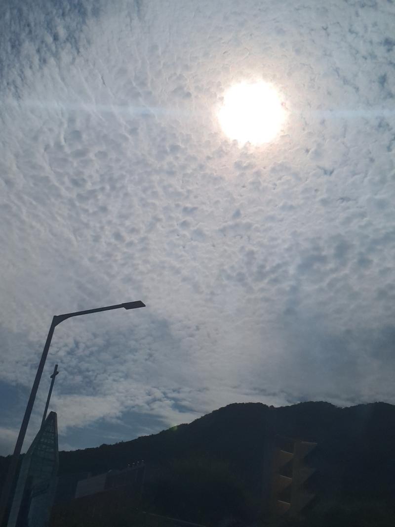 >>30 미술을 하진 않는데 예체능 쪽 정말 하고 싶어...어릴때부터 집안 사정을 알고 강제로 꿈을 접긴 했지만..ㅠ엄청 노력해야 하는구나ㅋㅋ힘