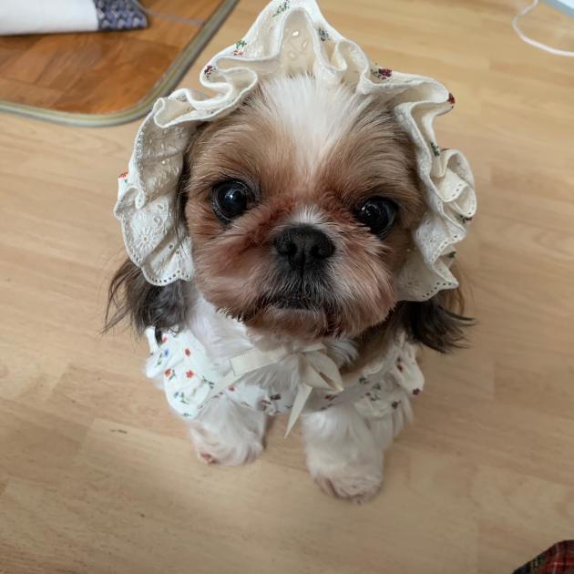 우리 애기 이름 팝콘 인데 머리에서 팝콘 냄새가 나서 팝콘이라 지었어 (...) 되게.. 되게.. 생각없이 지었다고 생각할 수도 있겠지만 다들