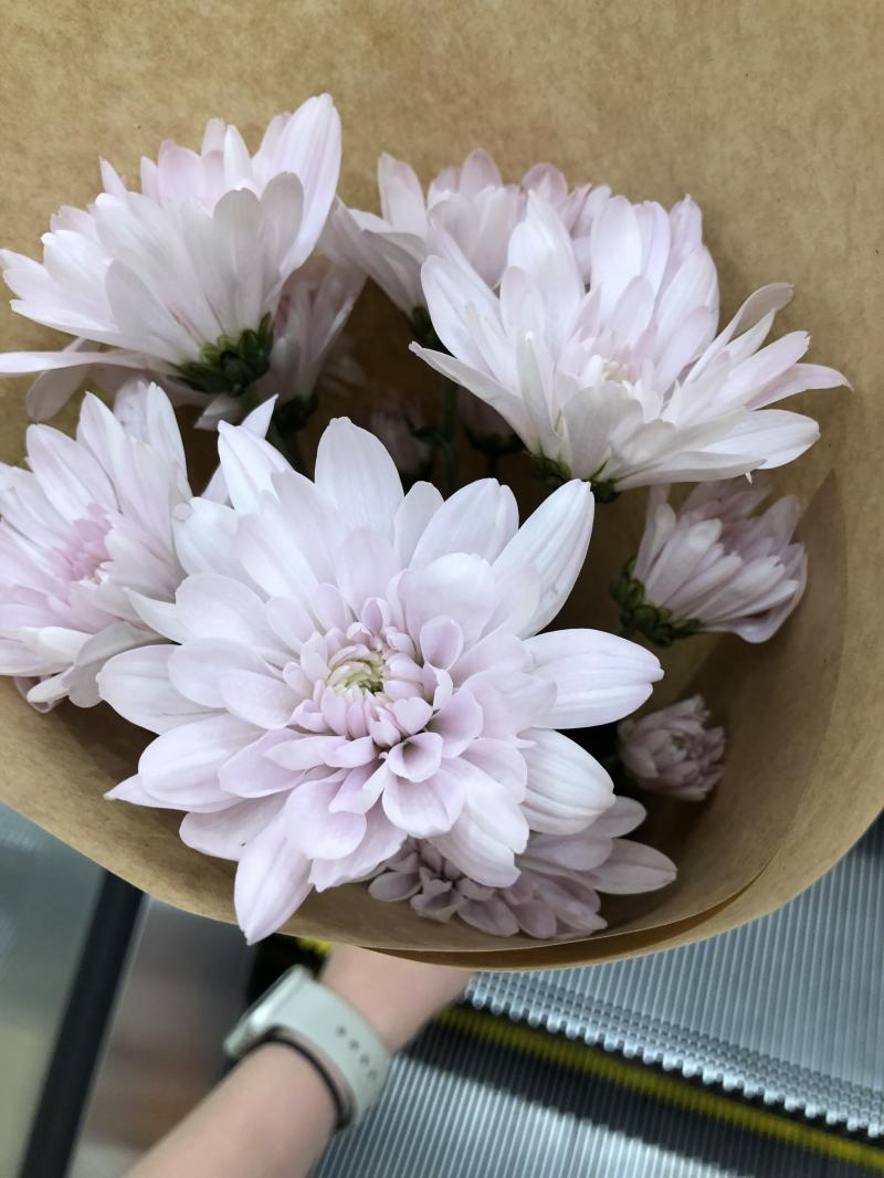 이거야