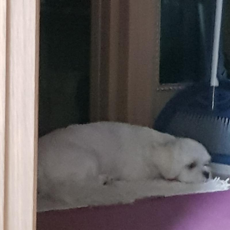 ㅠㅠㅠ 왜 요기서 자는 거야