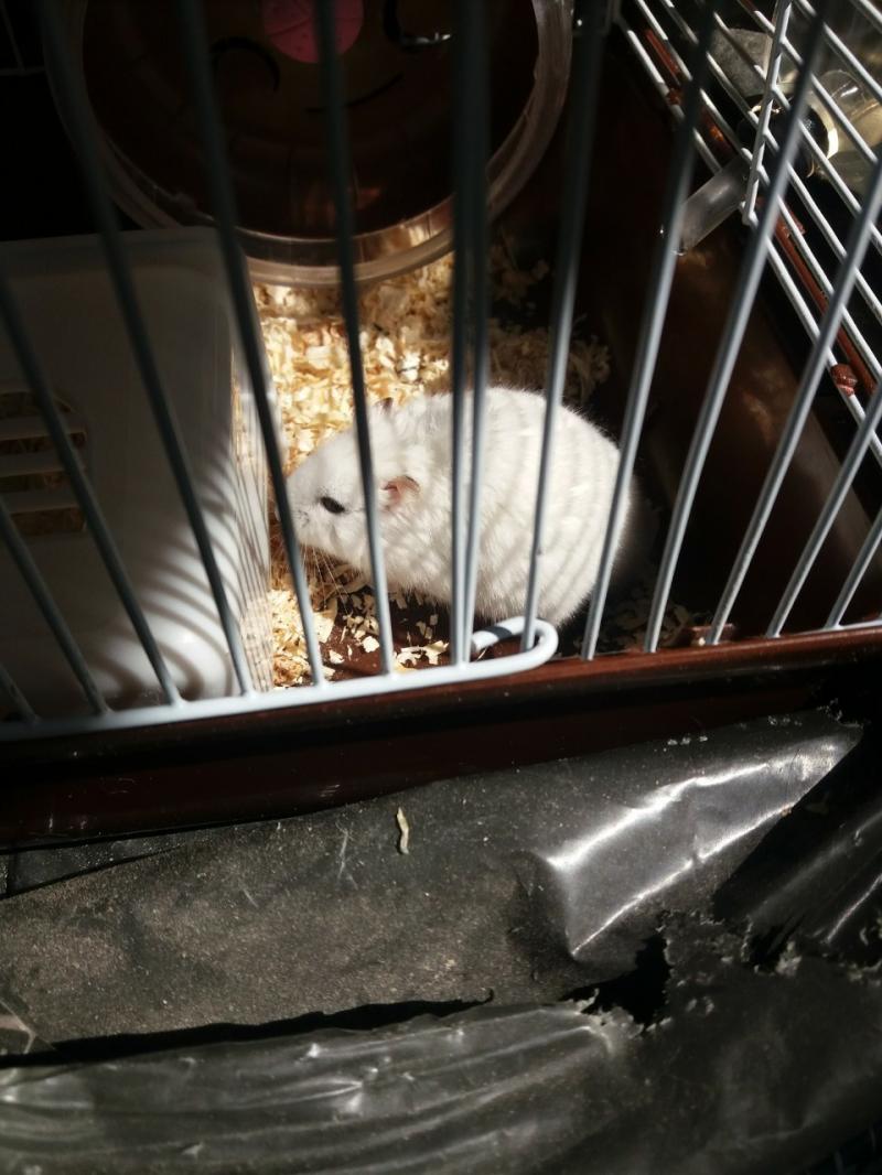 1. 엄마가 생각하는 진로랑 내가 생각하는 진로의 길이 아예 다른데 나는 아직 갈팡질팡 하고있거든 내가 결국 엄마의 결정에 따르게 될 지....
