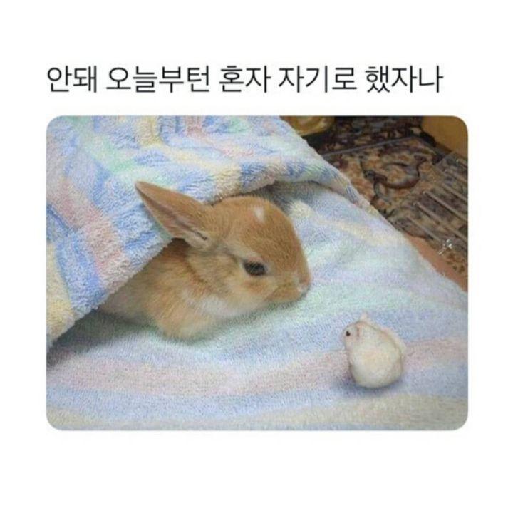 내 최애들만... 주섬주섬