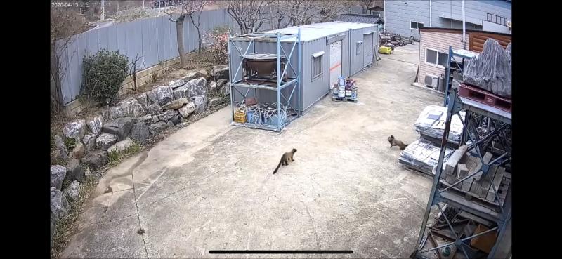 우왓 찾아낸거 같아 완전 비슷해